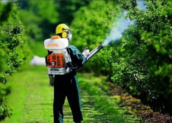 Bahçelievler Böcek İlaçlama Şirketleri