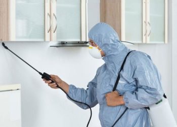 Bakırköy Böcek İlaçlama Şirketleri