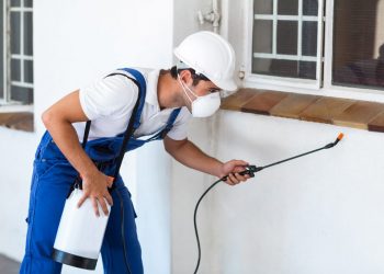 Bakırköy İlaçlama Şirketleri