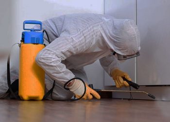 Başakşehir İlaçlama Şirketleri