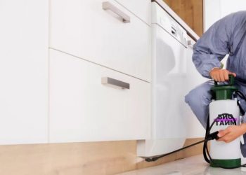 Bayrampaşa İlaçlama Şirketleri