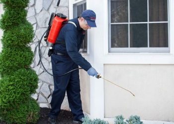 Beşiktaş İlaçlama Şirketleri