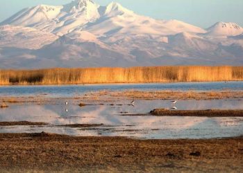 Sultan Sazlığı Kuş Cenneti Nerededir?