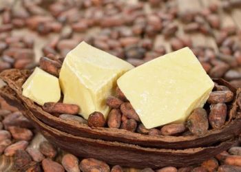 Kakao Yağının Cilde Faydaları Nelerdir?