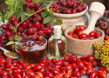 Kuşburnu Yağının Faydaları Nelerdir? Kullanımı