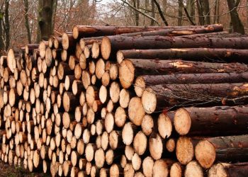 Yılmaz Kardeşler Kerestecilik